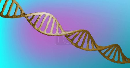 Photo for Composition of yellow dna stand over blue background. Science, research and genetics concept digitally generated image. - Royalty Free Image