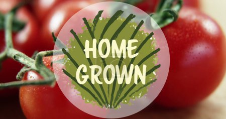 Téléchargez les photos : Composite de texte maison sur les tomates. Eco alimentation saine et produit maison concept image générée numériquement. - en image libre de droit