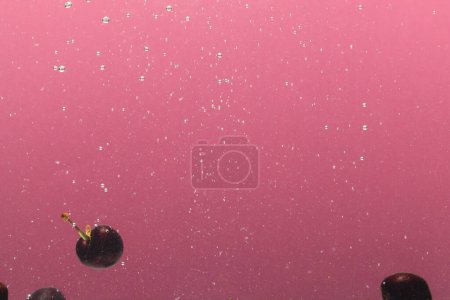 Photo for Close up of cherries falling into water with copy space on pink background. Fruit, vegan food and colour concept. - Royalty Free Image