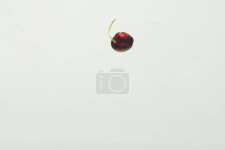 Photo for Close up of cherry falling into water with copy space on white background. Fruit, vegan food and colour concept. - Royalty Free Image