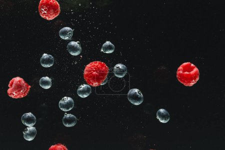 Photo for Close up of fresh berries falling into water with copy space on black background. Fruit, vegan food and colour concept. - Royalty Free Image