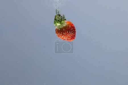 Photo for Close up of strawberry falling into water with copy space on grey background. Fruit, vegan food and colour concept. - Royalty Free Image