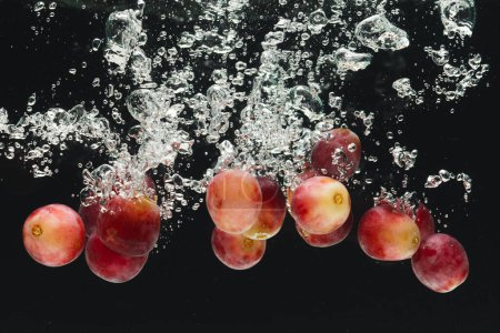 Photo for Close up of red grapes falling into water with copy space on black background. Fruit, vegan food and colour concept. - Royalty Free Image