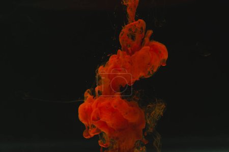 Téléchargez les photos : Gros plan d'encre rouge vif dans l'eau avec espace de copie sur fond noir. Concept encre, liquide, forme et couleur. - en image libre de droit