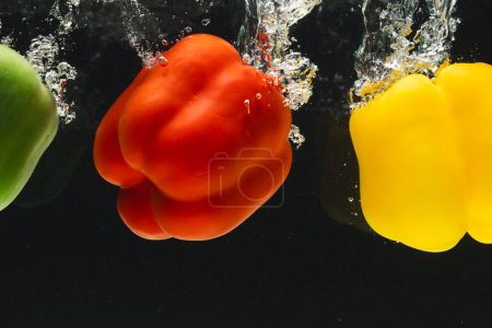 Téléchargez les photos : Gros plan de poivrons tombant dans l'eau avec espace de copie sur fond noir. Légumes, aliments végétaliens et concept de couleur. - en image libre de droit