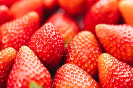 Photo for Close up of strawberries and copy space background. Fruit, berry, food, freshness and colour concept. - Royalty Free Image