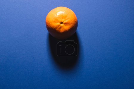 Photo for Close up of tangerine and copy space on blue background. Fruit, exotic fruit, food, freshness and colour concept. - Royalty Free Image