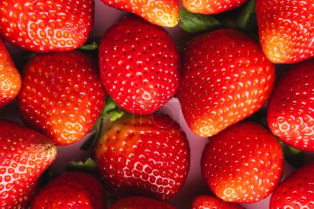 Photo for Close up of strawberries and copy space on pink background. Fruit, berry, food, freshness and colour concept. - Royalty Free Image