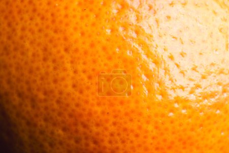 Photo for Close up of orange and copy space background. Fruit, exotic fruit, food, freshness and colour concept. - Royalty Free Image