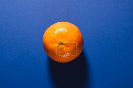 Téléchargez les photos : Gros plan de la mandarine et copier l'espace sur fond bleu. Fruits, fruits exotiques, nourriture, concept de fraîcheur et de couleur. - en image libre de droit