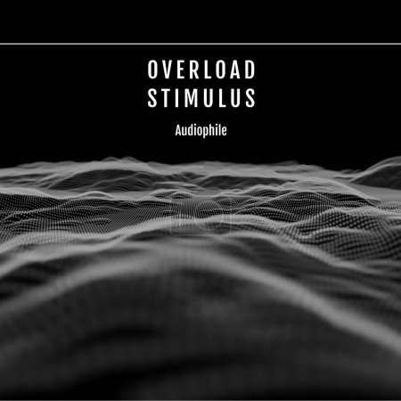 Photo for Composition of overload stimulus audiophile text over waves on black background. Colour, art, music album cover and design concept digitally generated image. - Royalty Free Image