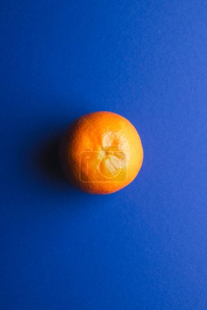 Téléchargez les photos : Gros plan de la mandarine et copier l'espace sur fond bleu. Fruits, fruits exotiques, nourriture, concept de fraîcheur et de couleur. - en image libre de droit