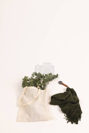 Photo for White canvas bag with green plant, watch, scarf and copy space on white background. Shopping, bag, colour, fabric, texture and materials concept. - Royalty Free Image