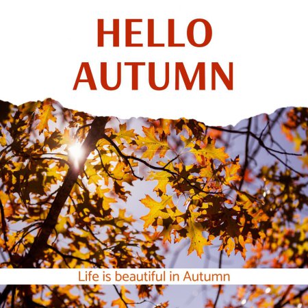 Téléchargez les photos : Composite de bonjour texte d'automne sur les arbres d'automne. Automne, automne et saisons concept image générée numériquement. - en image libre de droit