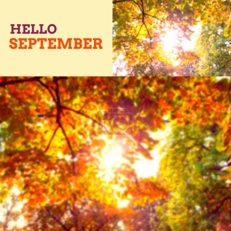 Téléchargez les photos : Composite de bonjour texte de septembre sur les arbres d'automne. Bonjour septembre, automne, automne et concept nature image générée numériquement. - en image libre de droit