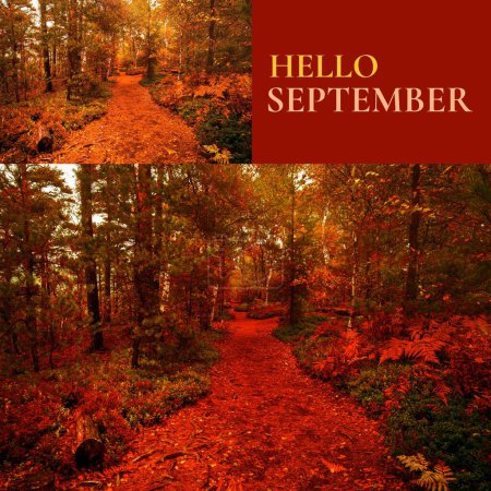 Foto de Compuesto de hola texto de septiembre sobre árboles de otoño. Hola septiembre, otoño, otoño y naturaleza concepto de imagen generada digitalmente. - Imagen libre de derechos