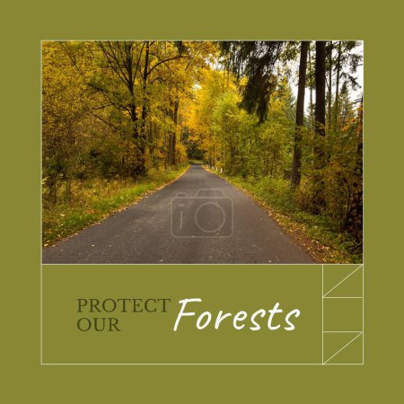 Téléchargez les photos : Composite de protéger nos forêts texte et vue tranquille de la route vide au milieu des arbres dans les bois. Nature, sensibilisation, paysages, concept de conservation écologique et environnementale. - en image libre de droit