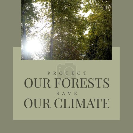 Téléchargez les photos : Composite de protéger nos forêts et de sauver notre texte climatique et le soleil qui brille à travers les arbres dans la forêt. Nature, sensibilisation, paysages, lumière du soleil, concept de conservation verte et environnementale. - en image libre de droit