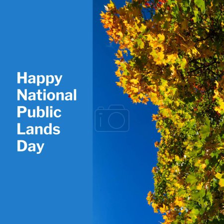 Téléchargez les photos : Composite of happy national public lands day text over tree. Journée nationale des terres publiques, concept de nature et de paysage image générée numériquement. - en image libre de droit