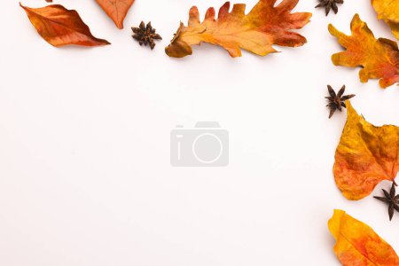 Téléchargez les photos : Feuilles d'automne et étoiles anis avec espace de copie sur fond blanc. Automne, automne, Halloween, concept de tradition et de célébration. - en image libre de droit