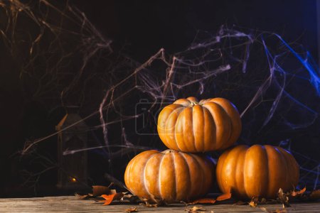 Foto de Calabazas y decoraciones spiderweb con espacio de copia sobre fondo negro. Otoño, otoño, halloween, tradición y concepto de celebración. - Imagen libre de derechos