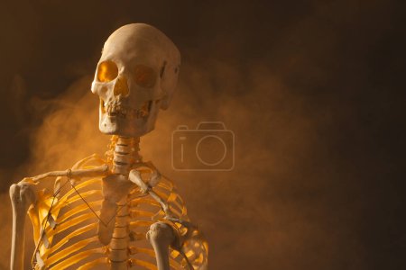 Téléchargez les photos : Squelette en plastique et fumée avec espace de copie sur fond noir. Automne, automne, Halloween, concept de tradition et de célébration. - en image libre de droit