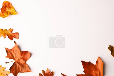 Foto de Hojas de otoño con espacio de copia sobre fondo blanco. Otoño, otoño, halloween, tradición y concepto de celebración. - Imagen libre de derechos