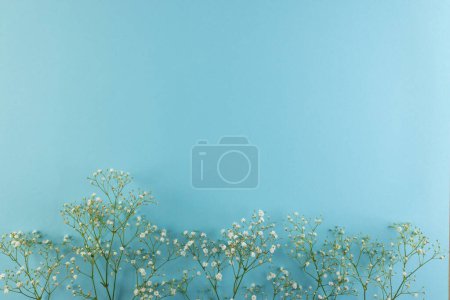 Foto de Múltiples flores blancas y espacio de copia en el fondo. Flores y concepto de color. - Imagen libre de derechos