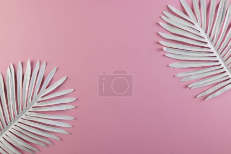 Téléchargez les photos : Feuilles de plantes blanches avec espace de copie sur fond rose. Concept de plante, forme, nature et couleur. - en image libre de droit
