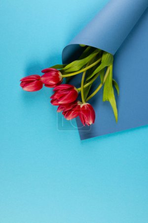 Foto de Imagen vertical de racimo de tulipanes rojos en papel azul con espacio de copia sobre fondo azul. Concepto de flor, planta, forma, naturaleza y color. - Imagen libre de derechos