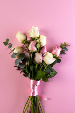 Foto de Imagen vertical de rosas rosadas y blancas y espacio de copia sobre fondo rosa. Concepto de flor, planta, forma, naturaleza y color. - Imagen libre de derechos