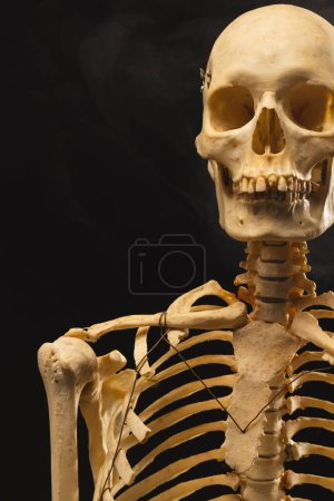 Foto de Imagen vertical de esqueleto de plástico y humo con espacio de copia sobre fondo negro. Otoño, otoño, halloween, tradición y concepto de celebración. - Imagen libre de derechos