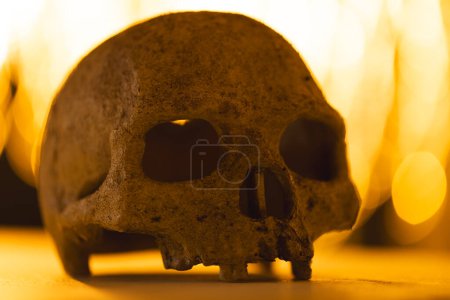 Foto de Cráneo y amarillo bokeh luces borrosas con espacio para copias y superficie de madera. Halloween, luz, color y forma concepto de imagen generada digitalmente. - Imagen libre de derechos