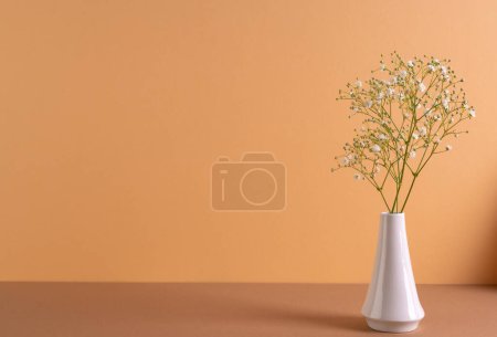 Téléchargez les photos : Fleurs blanches dans un vase blanc et copiez l'espace sur fond orange. Fleur, plante, forme, nature et concept de couleur. - en image libre de droit