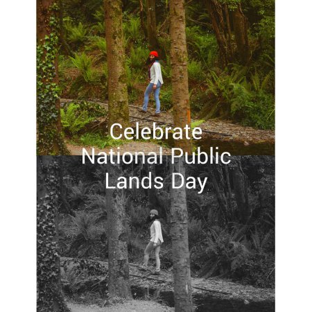 Téléchargez les photos : Composite de célébrer le texte de la journée nationale des terres publiques sur la randonnée des femmes biraciales dans la forêt. Journée nationale des terres publiques, beauté dans la nature et concept de paysage image générée numériquement. - en image libre de droit