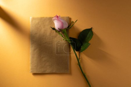 Foto de Rosa flor de rosa sobre papel marrón y espacio de copia sobre fondo naranja. Concepto de flor, planta, forma, naturaleza y color. - Imagen libre de derechos