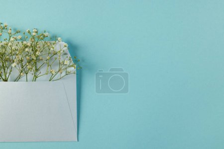 Foto de Flores blancas en sobre blanco y espacio de copia sobre fondo azul. Concepto de flor, planta, forma, naturaleza y color. - Imagen libre de derechos