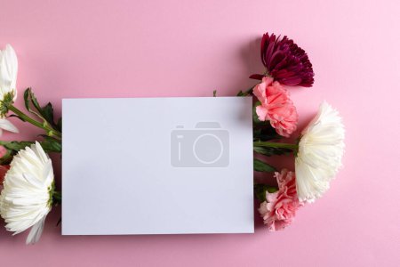 Téléchargez les photos : Fleurs blanches, roses et violettes avec carte blanche et espace de copie sur fond rose. Fleur, plante, forme, nature et concept de couleur. - en image libre de droit