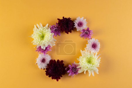 Téléchargez les photos : Fleurs blanches, roses et violettes formant un cercle et un espace de copie sur fond orange. Fleur, plante, forme, nature et concept de couleur. - en image libre de droit