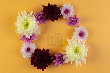 Téléchargez les photos : Fleurs blanches, roses et violettes formant un cercle et un espace de copie sur fond orange. Fleur, plante, forme, nature et concept de couleur. - en image libre de droit