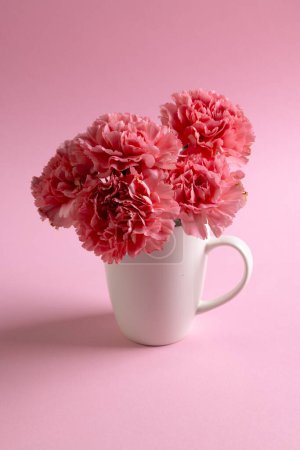 Téléchargez les photos : Image verticale de bouquet de fleurs d'oeillet rose dans une tasse blanche avec espace de copie sur fond rose. Fleur, plante, forme, nature et concept de couleur. - en image libre de droit