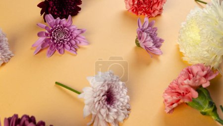 Téléchargez les photos : Fleurs blanches, rouges et roses avec espace de copie sur fond orange. Fleur, plante, forme, nature et concept de couleur. - en image libre de droit