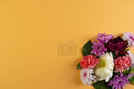 Téléchargez les photos : Fleurs blanches, roses et violettes et espace de copie sur fond orange. Fleur, plante, forme, nature et concept de couleur. - en image libre de droit