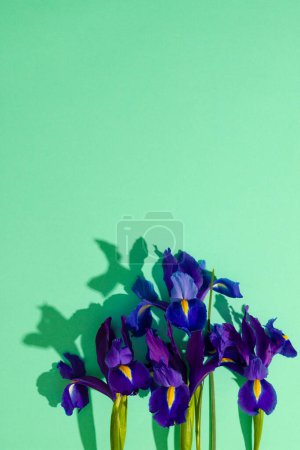 Téléchargez les photos : Image verticale de fleurs violettes avec espace de copie sur fond vert. Fleur, plante, forme, nature et concept de couleur. - en image libre de droit