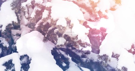 Foto de Mancha de luz sobre árboles cubiertos de nieve en el paisaje invernal. fiesta de Navidad y concepto de celebración - Imagen libre de derechos