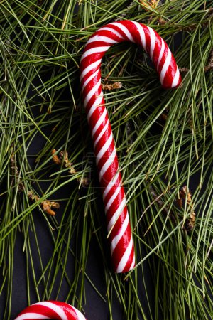 Téléchargez les photos : Image verticale de la canne à bonbons de Noël et décorations d'arbre de Noël avec espace de copie. Noel, tradition et concept de célébration. - en image libre de droit