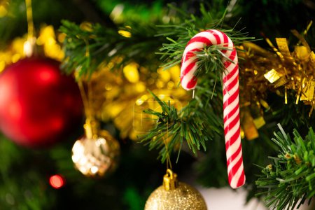 Foto de Primer plano del árbol de Navidad con bastón de caramelo, bolas, decoraciones y espacio de copia. Navidad, tradición y concepto de celebración. - Imagen libre de derechos