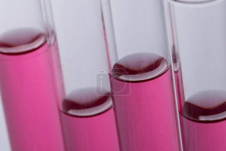 Photo for Close up of laboratory test tubes with pink liquid and copy space on grey background. Laboratory, science, research and chemistry concept. - Royalty Free Image