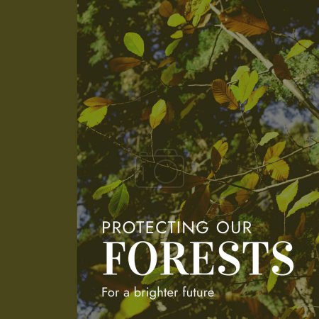 Téléchargez les photos : Composite de protection de nos forêts pour un texte futur plus lumineux sur les feuilles poussant sur les plantes. Copier l'espace, la nature, la sensibilisation, vert, concept de protection et de conservation de l'environnement. - en image libre de droit