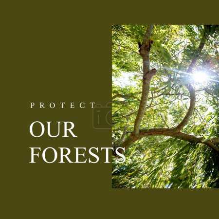 Foto de Compuesto de proteger nuestros bosques texto y sol que brilla a través de los árboles en el bosque. Naturaleza, conciencia, paisaje, rayo de sol, retroiluminación y concepto de conservación ambiental. - Imagen libre de derechos